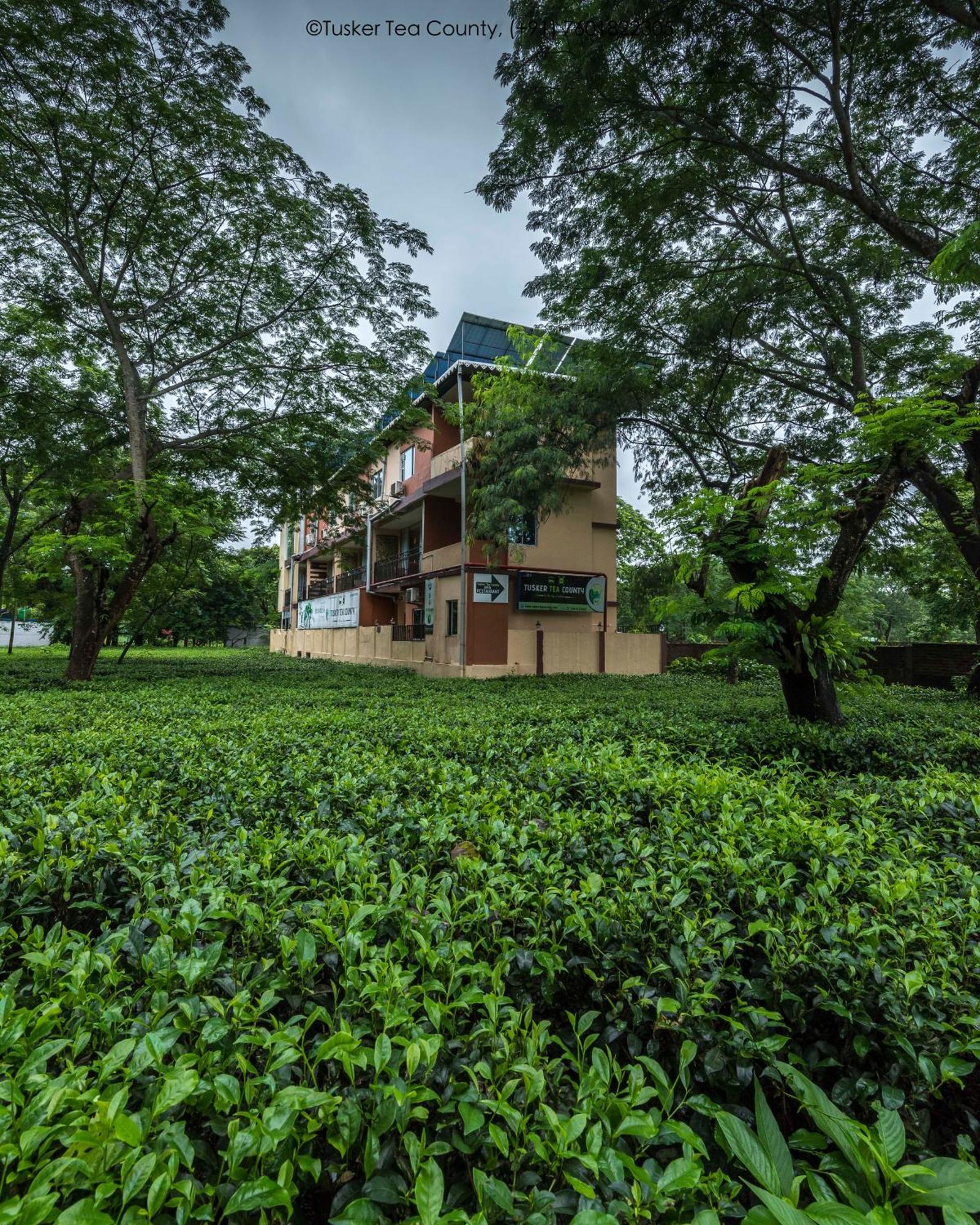 Tusker Tea County Hotel Chālsa Exterior foto